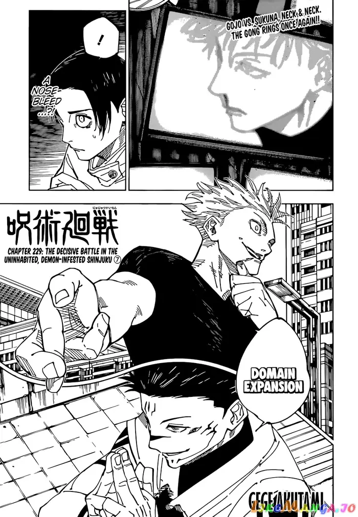 Jujutsu Kaisen Chapter 229 image 01_optimized